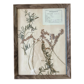 Large French Pressed Vintage Florals with Dark Frame