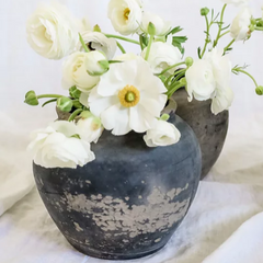 Vintage Clay Pot - Medium