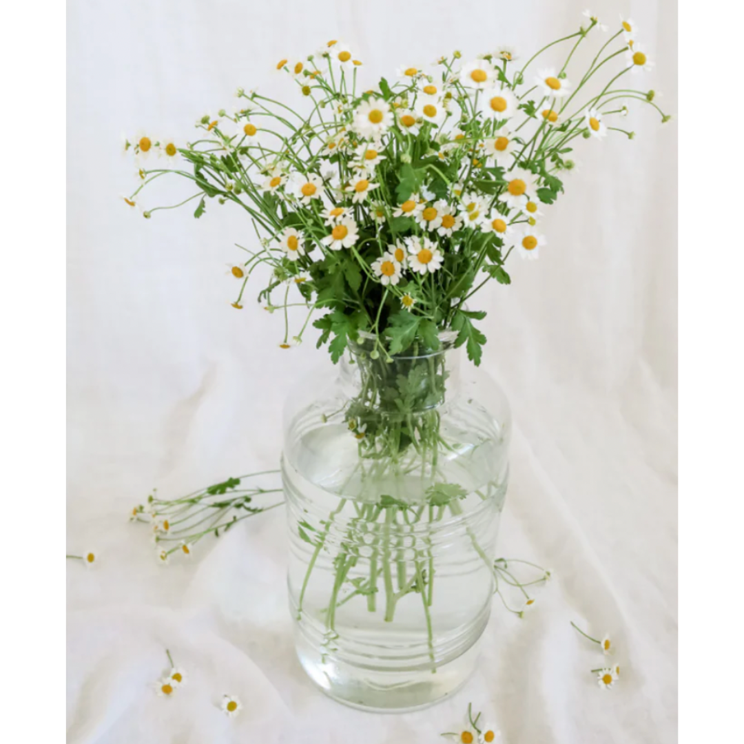 Vintage French Pickling Jars