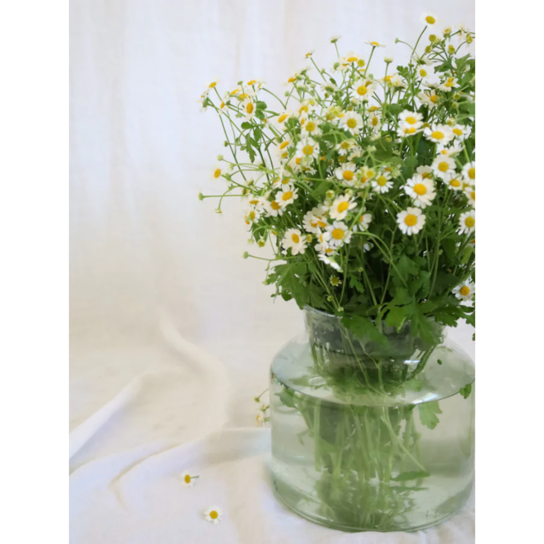 Vintage French Pickling Jars