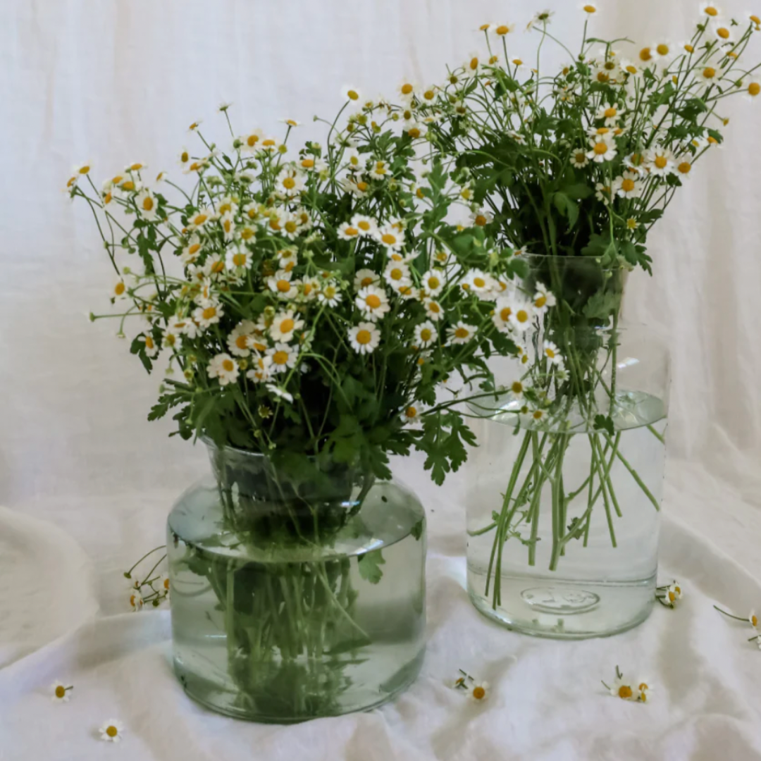 Vintage French Pickling Jars