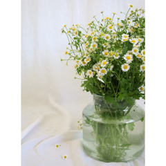 Vintage French Pickling Jars